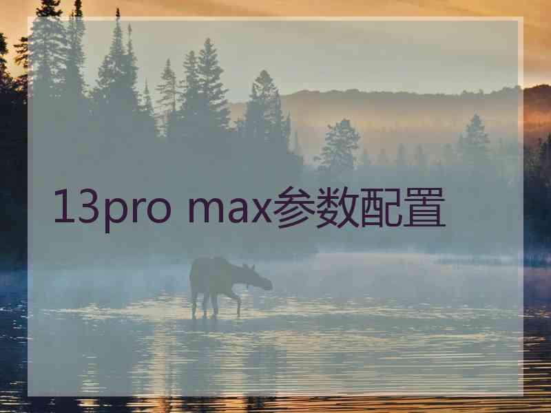 13pro max参数配置