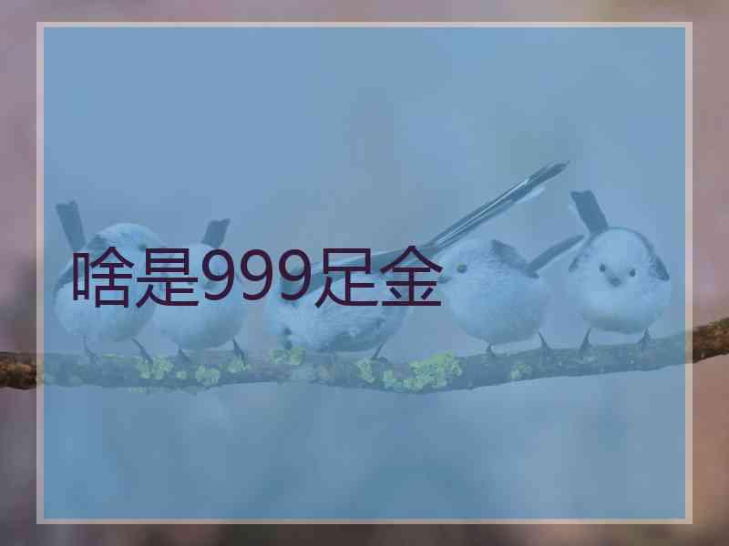 啥是999足金