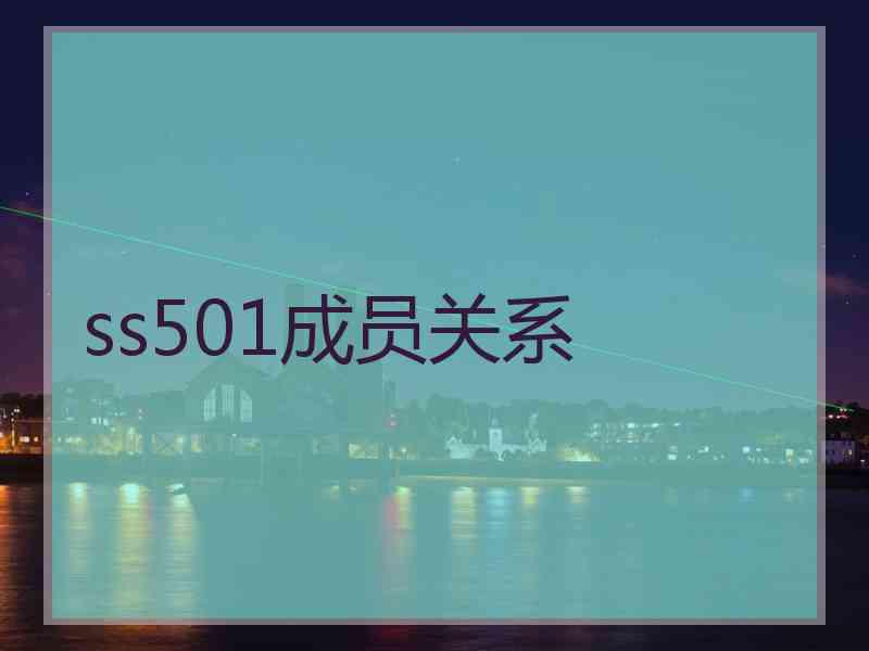 ss501成员关系