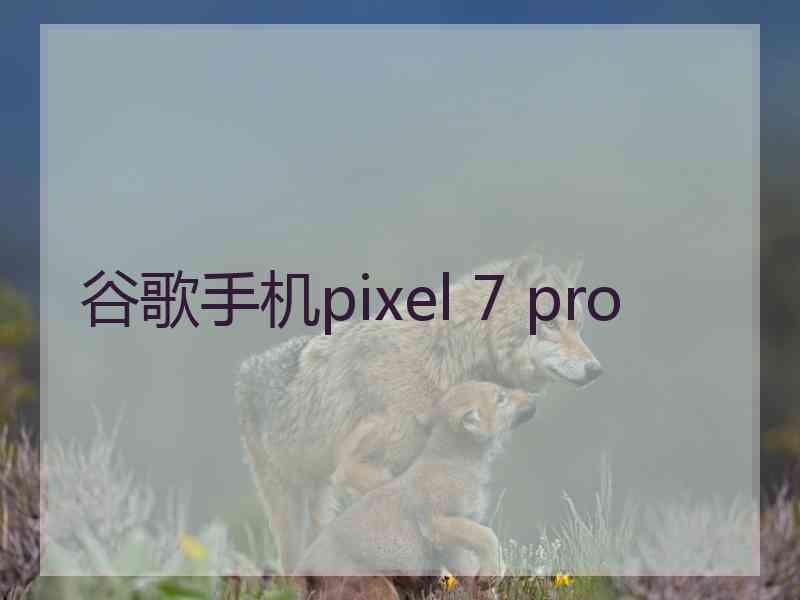 谷歌手机pixel 7 pro