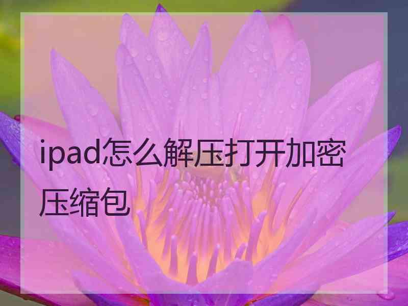 ipad怎么解压打开加密压缩包