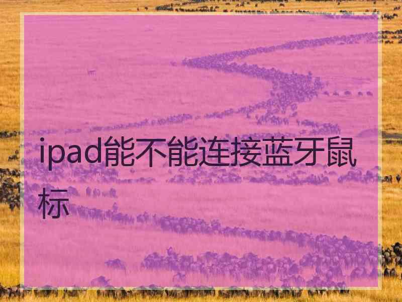 ipad能不能连接蓝牙鼠标