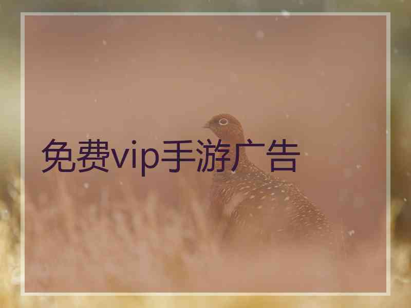 免费vip手游广告