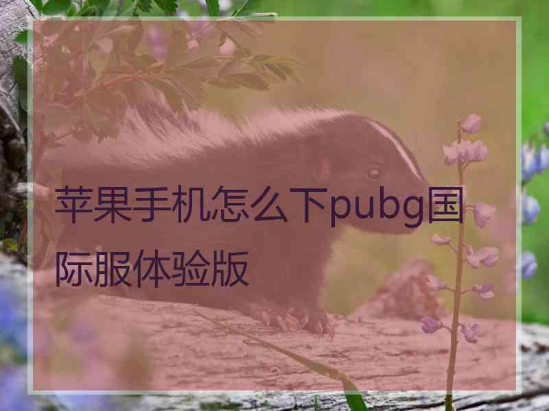 苹果手机怎么下pubg国际服体验版