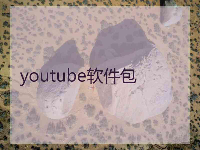 youtube软件包