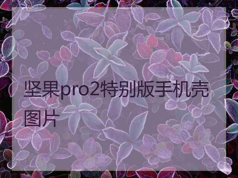 坚果pro2特别版手机壳图片