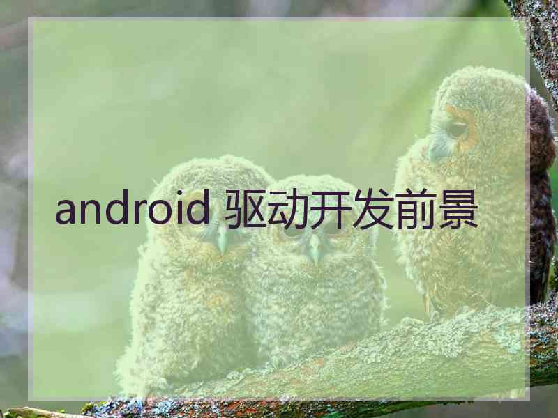 android 驱动开发前景