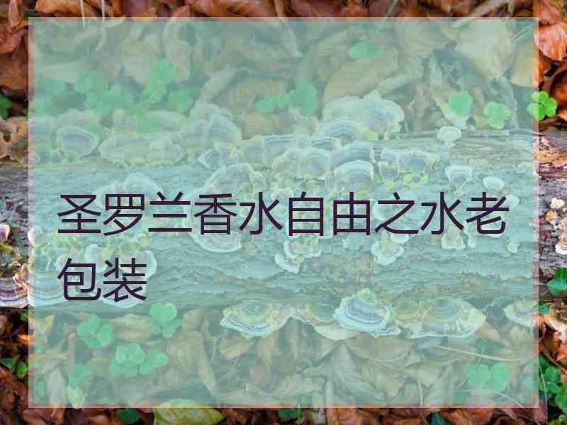 圣罗兰香水自由之水老包装