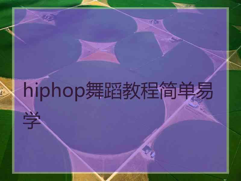 hiphop舞蹈教程简单易学