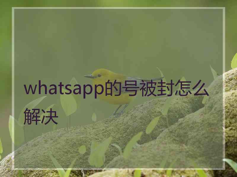 whatsapp的号被封怎么解决