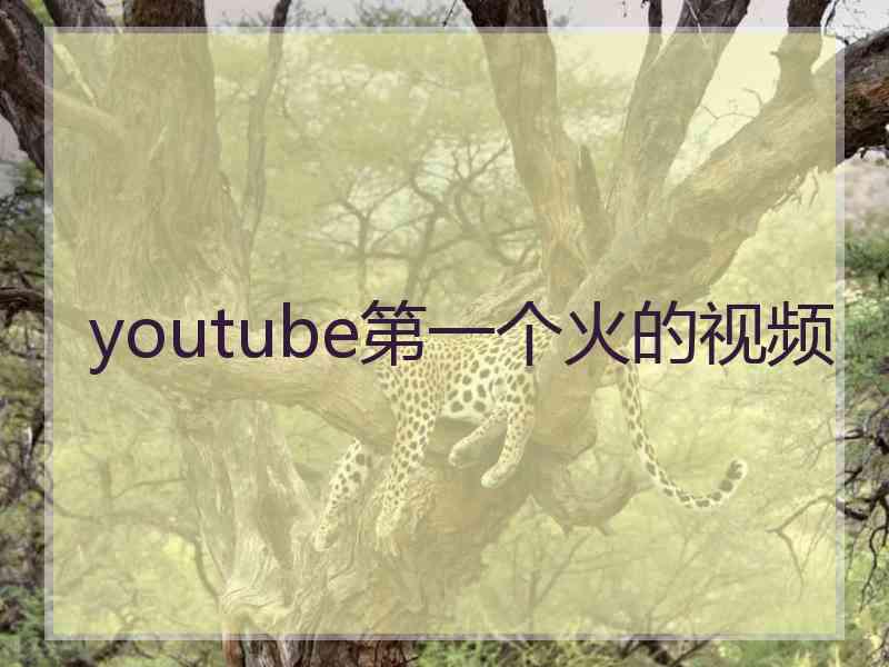 youtube第一个火的视频