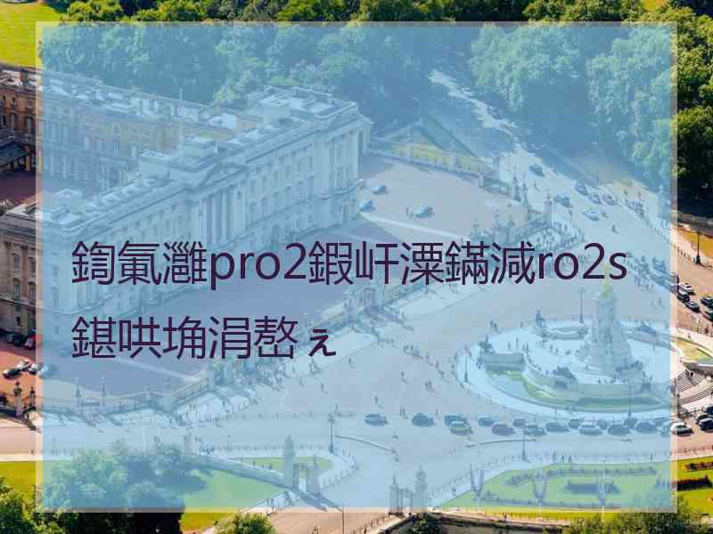 鍧氭灉pro2鍜屽潥鏋減ro2s鍖哄埆涓嶅ぇ