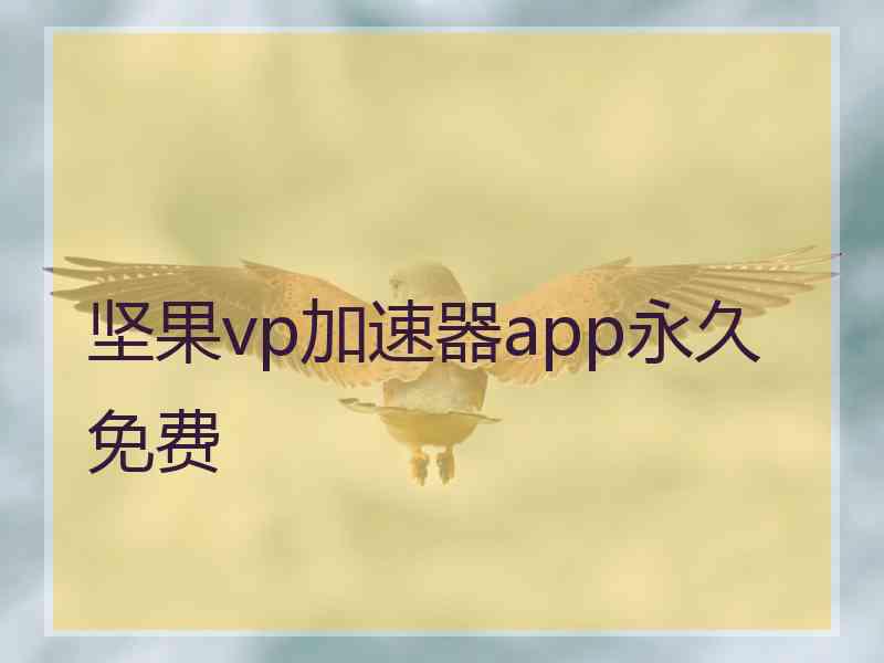 坚果vp加速器app永久免费