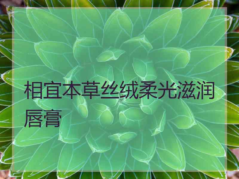 相宜本草丝绒柔光滋润唇膏