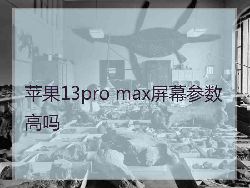 苹果13pro max屏幕参数高吗