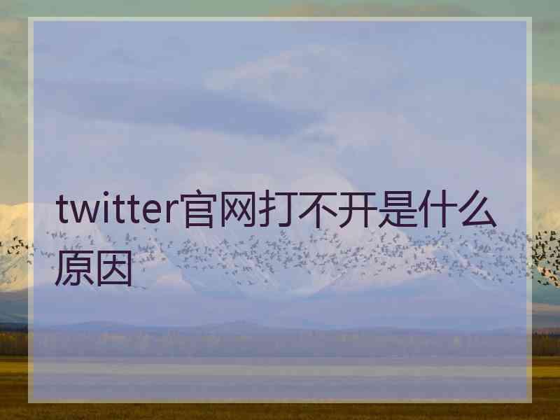 twitter官网打不开是什么原因