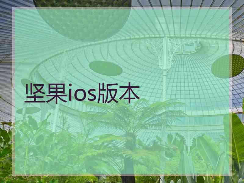 坚果ios版本