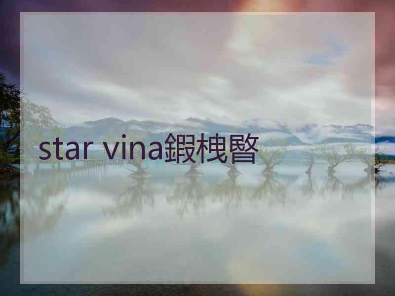 star vina鍜栧暋