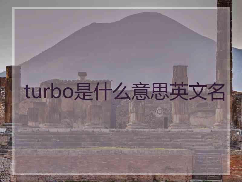 turbo是什么意思英文名