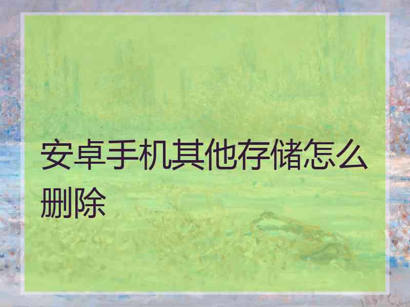 安卓手机其他存储怎么删除