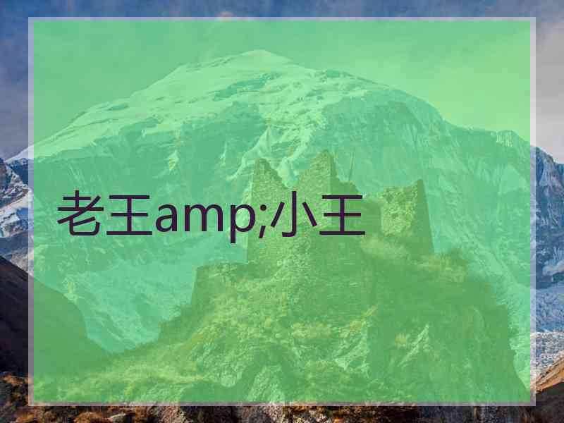 老王amp;小王