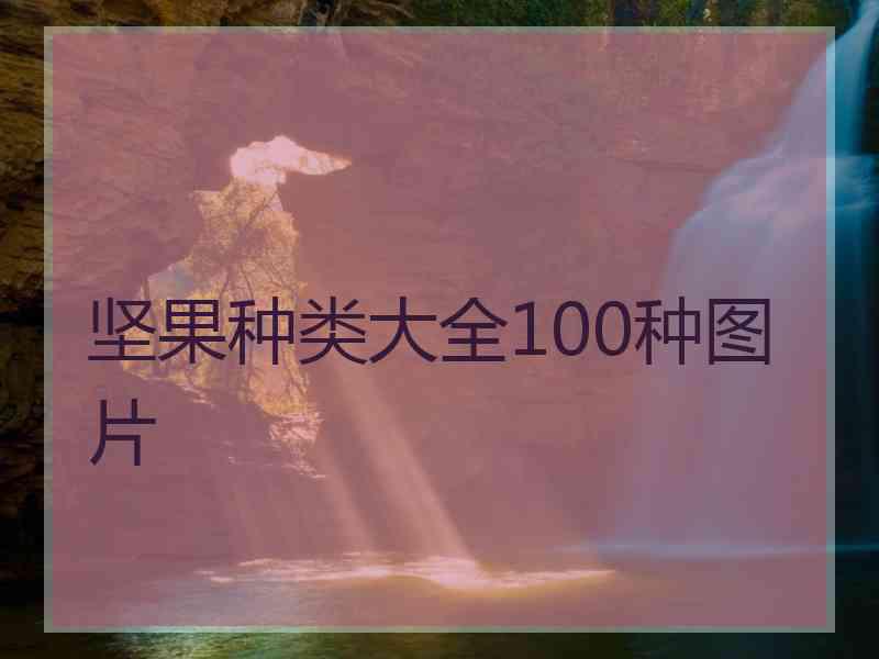 坚果种类大全100种图片