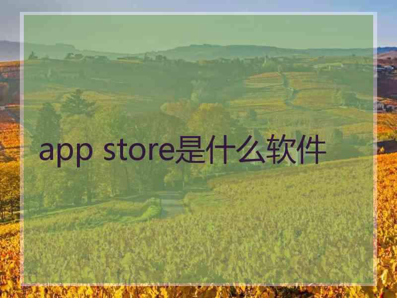 app store是什么软件