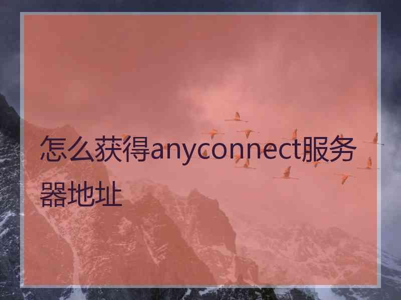 怎么获得anyconnect服务器地址