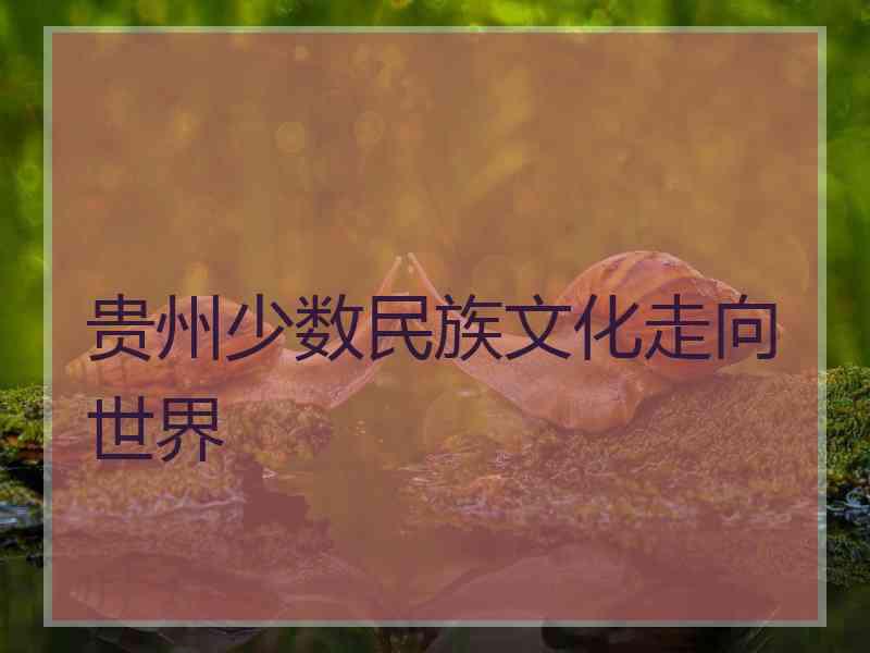 贵州少数民族文化走向世界