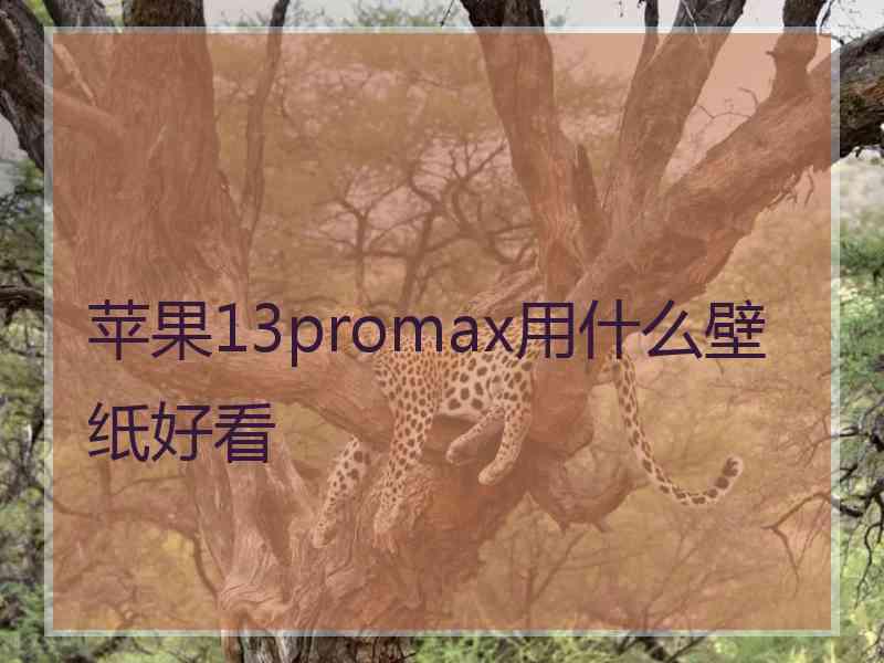 苹果13promax用什么壁纸好看