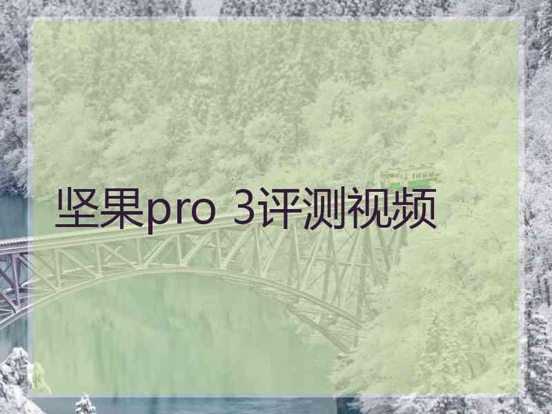 坚果pro 3评测视频