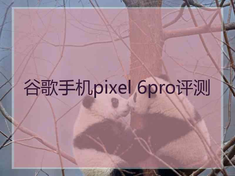 谷歌手机pixel 6pro评测