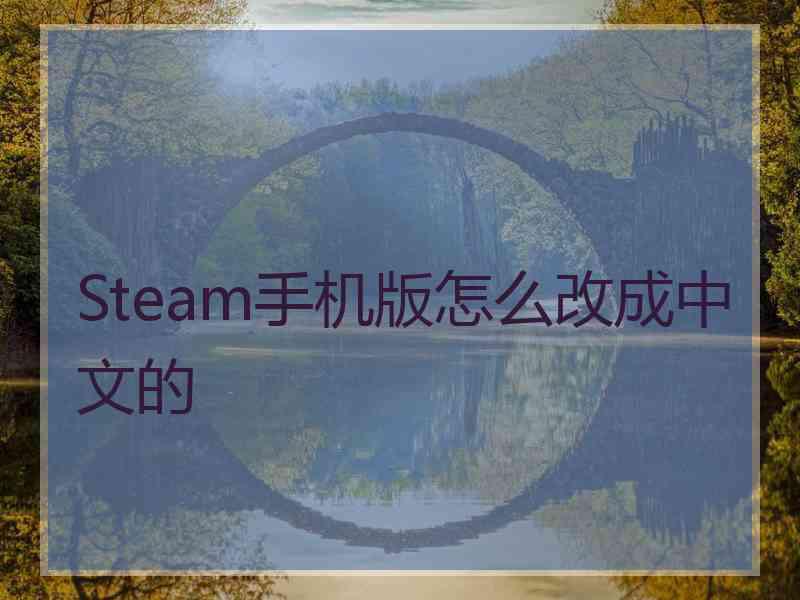 Steam手机版怎么改成中文的