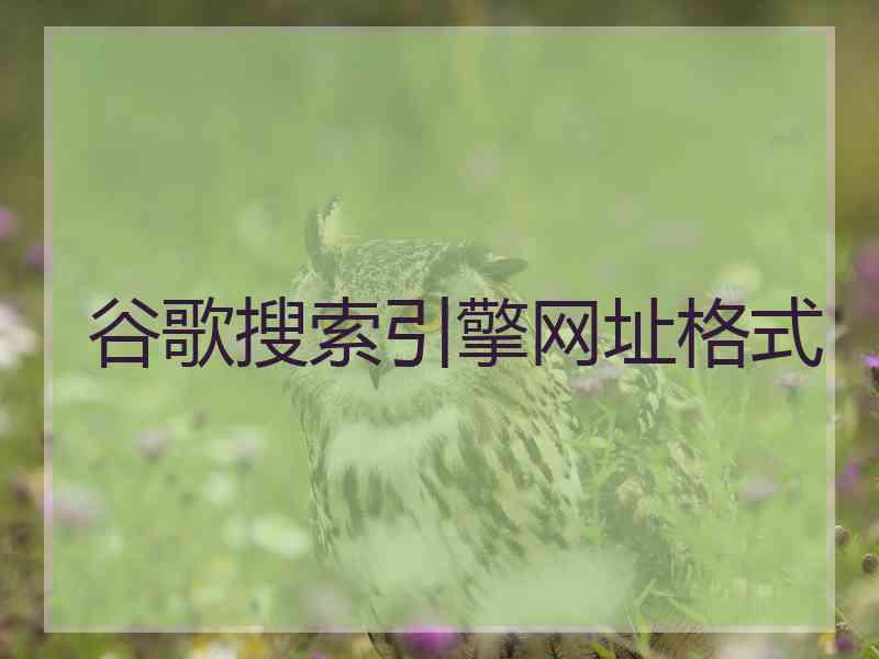 谷歌搜索引擎网址格式