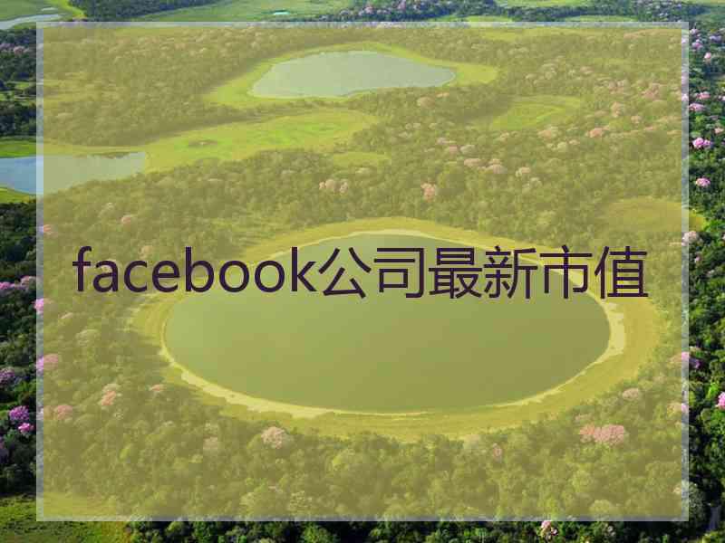 facebook公司最新市值