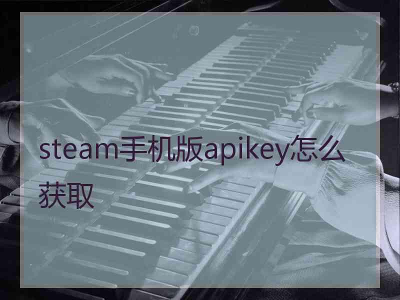 steam手机版apikey怎么获取