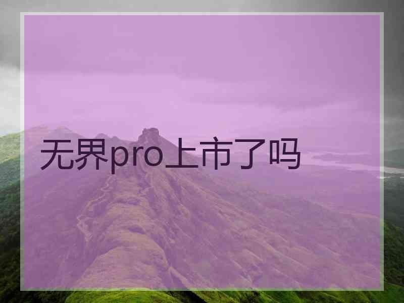 无界pro上市了吗