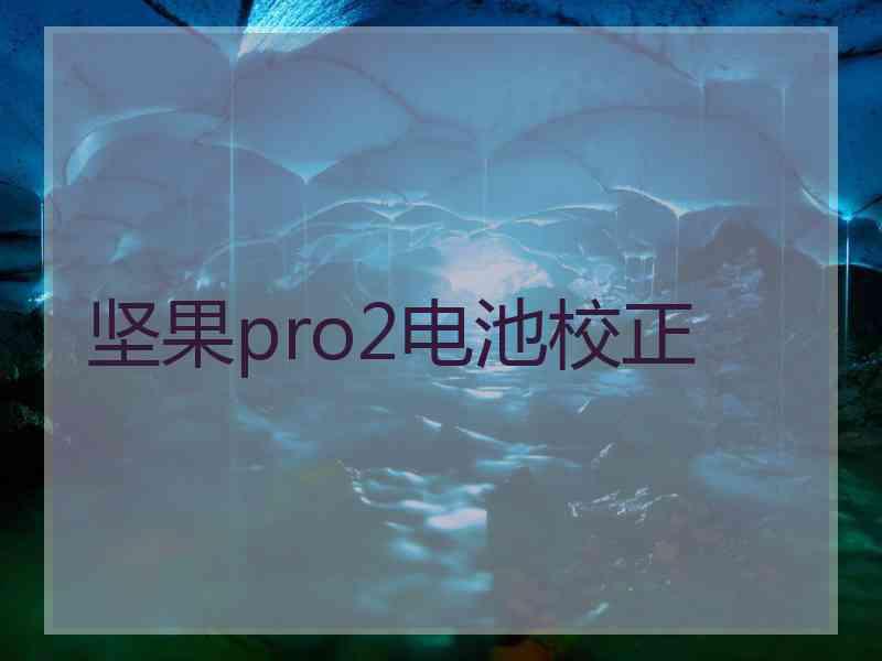 坚果pro2电池校正