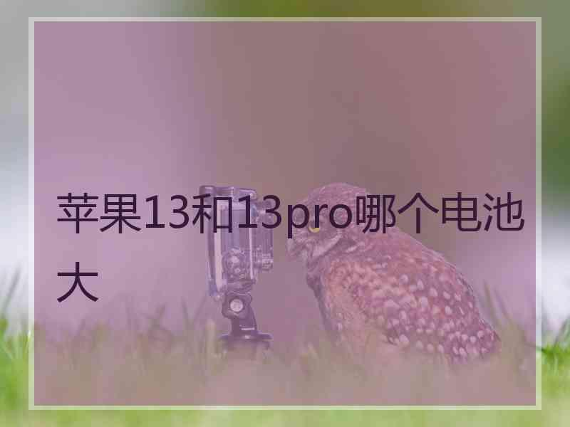 苹果13和13pro哪个电池大