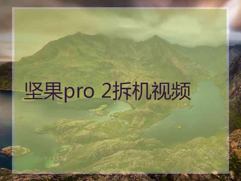 坚果pro 2拆机视频