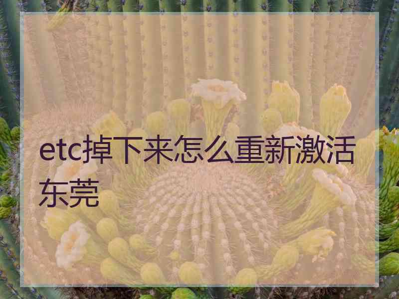 etc掉下来怎么重新激活东莞