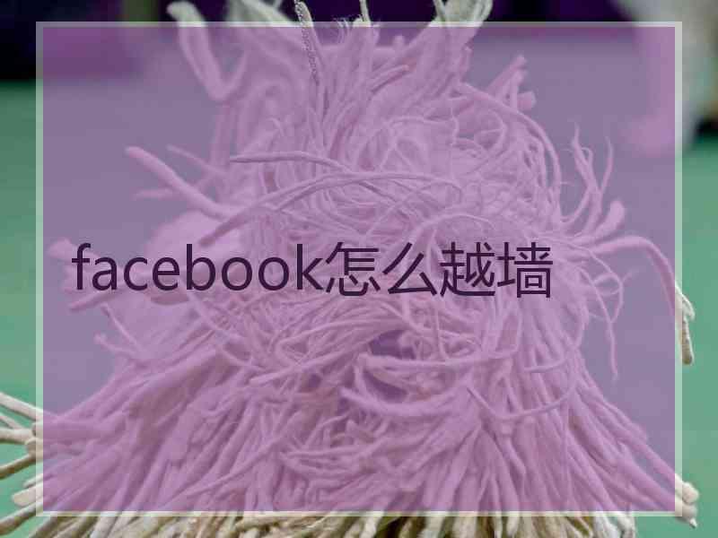 facebook怎么越墙