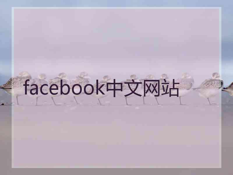 facebook中文网站