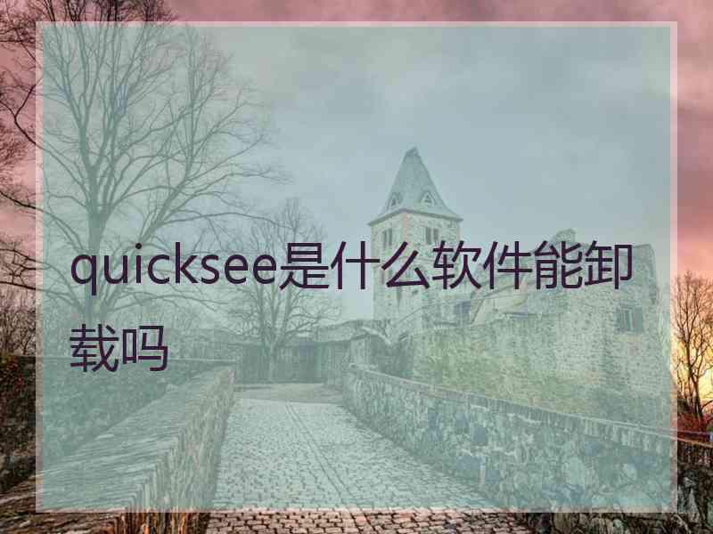 quicksee是什么软件能卸载吗