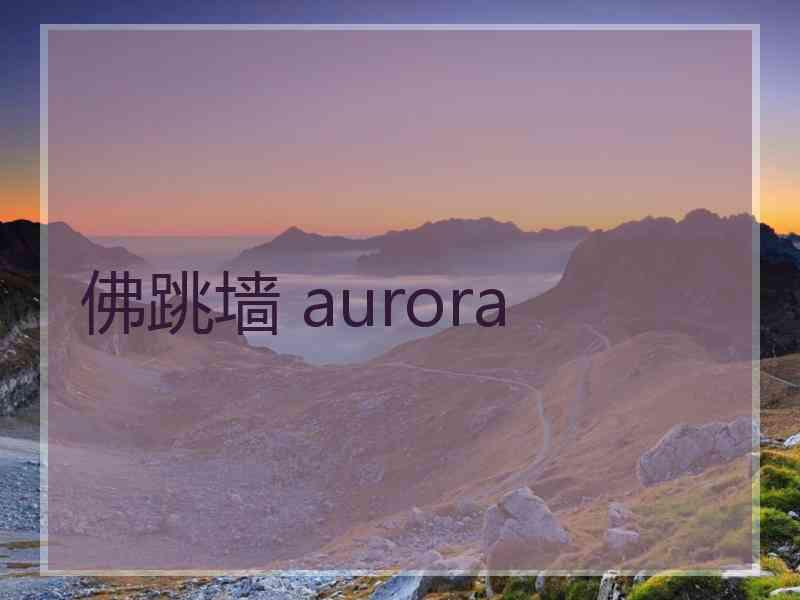 佛跳墙 aurora