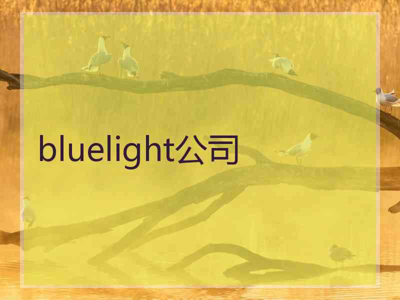 bluelight公司