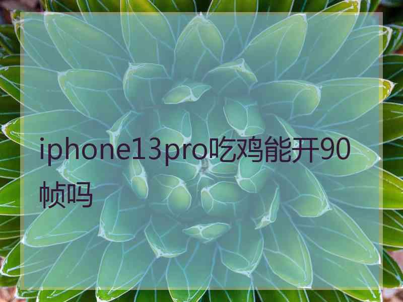 iphone13pro吃鸡能开90帧吗