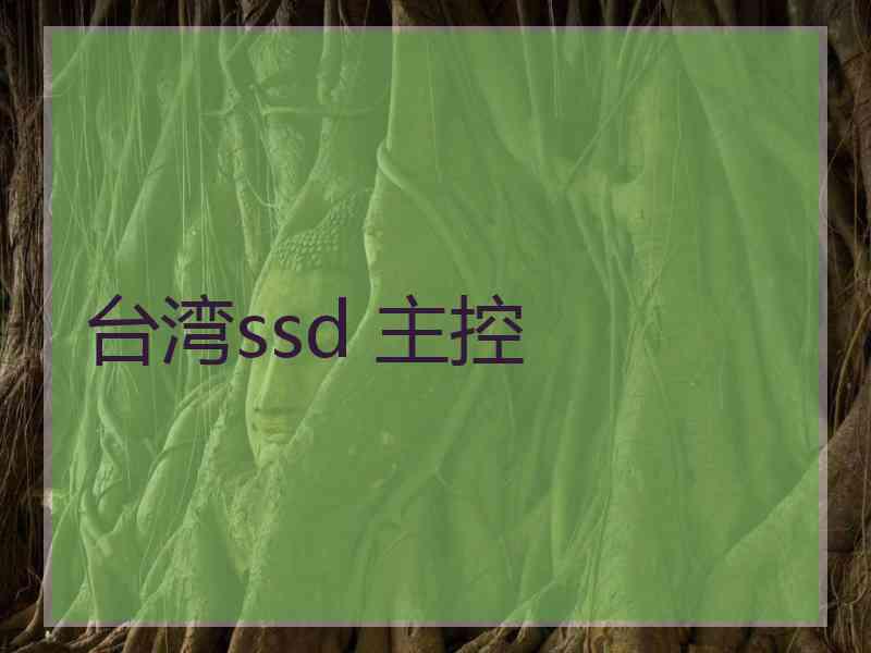 台湾ssd 主控