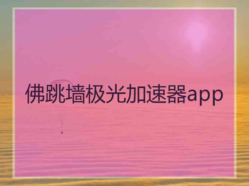 佛跳墙极光加速器app