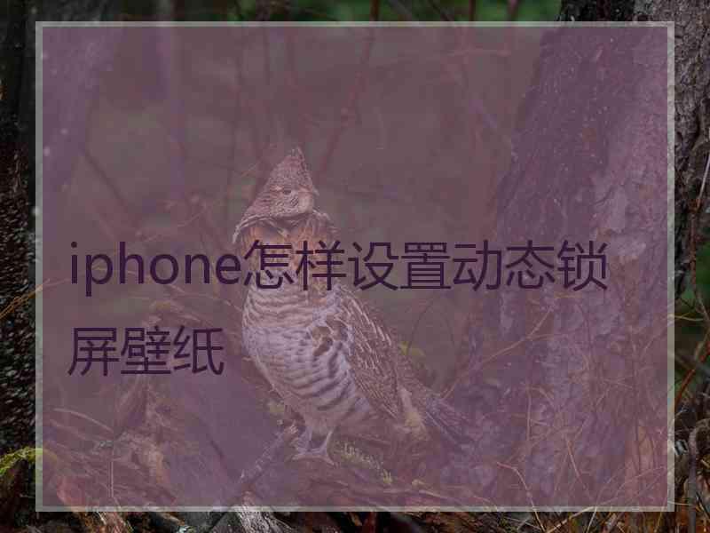 iphone怎样设置动态锁屏壁纸